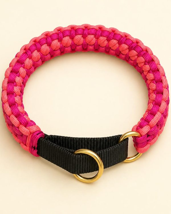 Martingale Training Collar