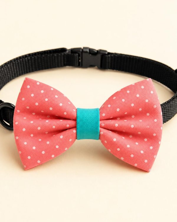 Collar Bow Tie