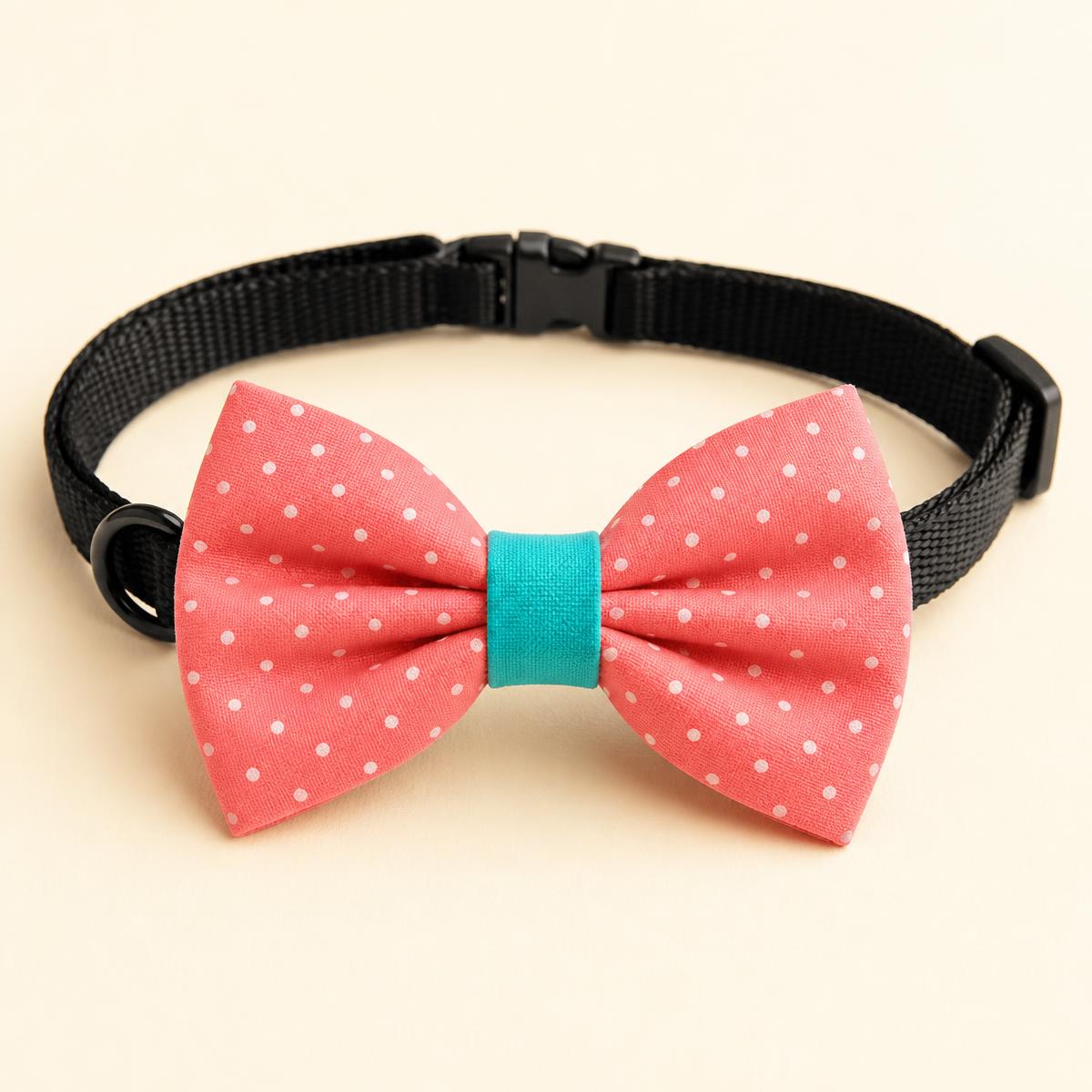 Collar Bow Tie